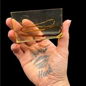 Vintage Clear Acrylic Resin Medical Scientific Specimen